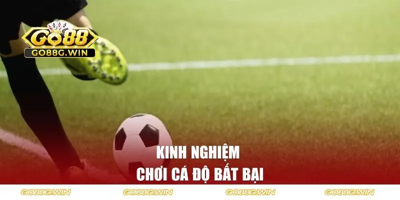 Kinh nghiệm chơi cá độ bất bại cho dân chơi