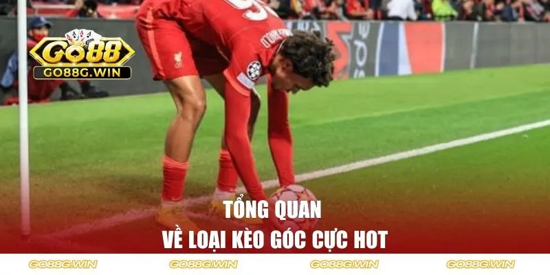 Tổng quan về loại kèo góc cực hot